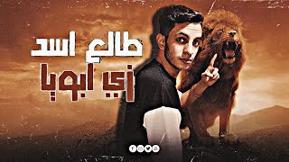 مهرجان  طالع اسد زي ابويا في وسط غابة توزيع تيتو الطنطاوي 2025 [upl. by Nickles]