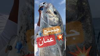 Bludger Trevally on Samurai Sparrow Jig 120g  Oman [upl. by Nolahc]