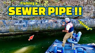 Fishing a SEWER PIPE on the TENNESSEE RIVER  Special Guest Fisherman [upl. by Aleuname]