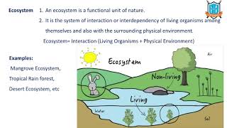 What is Ecosystem  Ecosystem అంటే ఏమిటి  La Excellence [upl. by Yonita]