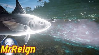 Assassins Creed Valhalla Big Fish Locations Big Fish Guide Some Still Bugged After Recent Update [upl. by Pergrim]