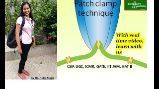 Patch Clamp Technique  Action Potential [upl. by Niarb]