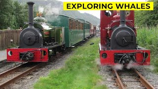 Steam Locomotives and Stunning Scenery  A Historic Journey Through Welsh Highland Heritage Railway [upl. by Supat74]