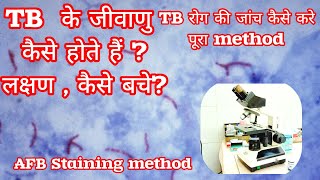 AFB staining method for TB How to stain procedure in हिंदी [upl. by Allebara]