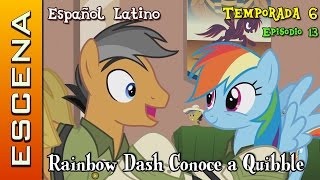 MLP FiM  Escena Temporada 6 Ep 13  Rainbow Dash Conoce a Quibble Pants Español Latino [upl. by Nodyarg]