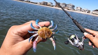 How To Rig amp Fish Artificial Crabs  NONSTOP Action On BIG Fish wCut Blue Crabs [upl. by Sollie]