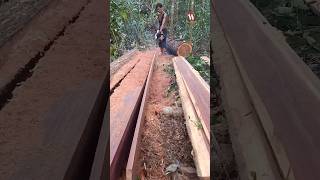 Skill Memotong Kayu Abang Ini Sudah Diatas Rata Rata [upl. by Tram]