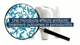 Oral microbiota affects clinical outcomes of systemic antibiotic treatment in periodontitis [upl. by Ellatnahc]