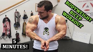 Intense 5 Minute At Home Bicep Workout 2 [upl. by Kessler433]