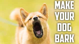 DOG BARKING TO MAKE YOUR DOG BARK GAURANTEED [upl. by Olshausen978]