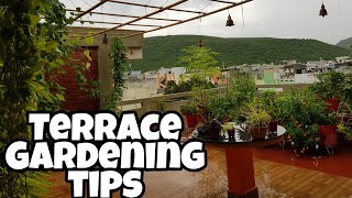 మిద్దె తోట ఎలా మొదలు పెట్టాలిHow to start a TERRACE GARDENterracegardening middethota tips [upl. by Ronn431]