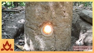 Primitive Technology Natural Draft Furnace [upl. by Ahtael350]