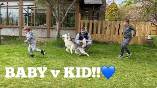 Which Kid Does My Huskies Love The Most Challenge FUNNIEST REACTION [upl. by Lyndel]