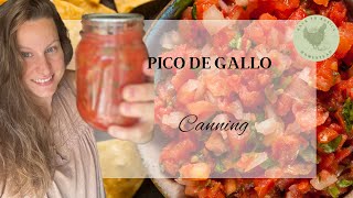 Quick amp Easy Pico De Gallo  Canning Pico De Gallo [upl. by Sink389]