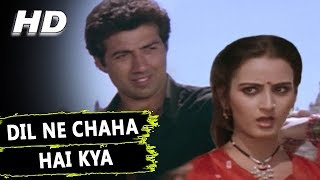 Dil Ne Chaha Hai Kya  Kavita Krishnamurthy  Yateem 1988 Songs  Sunny Deol Farah Naaz [upl. by Alvin]