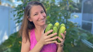 The Brutal Truth About Growing Cucumbers from Seed [upl. by Eendyc528]