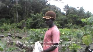 Rastafari and Organic Agriculture in Suriname [upl. by Dachi696]