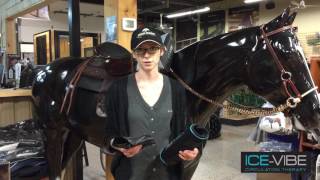 How Ice Vibe Boots Can Help With Horse Tendon Issues [upl. by Inalaehak]