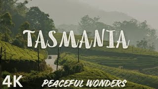 4K PEACEFUL WONDERS  TASMANIA BEAUTIFUL VIEW OF ISLAND FLIMS🏝️ EXPLORE WITH RELAXATION MUSIC 🌍🌉🎶 [upl. by Reiniar868]