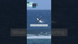 Whale at Olympic Surfing A PERFECT 100 🐋 💯 [upl. by Jauch]