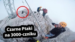 Czarne Ptaki na 3000czniku   Szczyt Dachstein  Lodowiec w Austrii Vlog 180 [upl. by Misab]