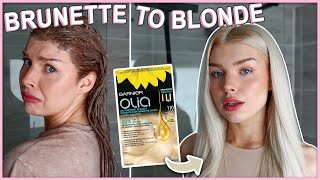 BRUNETTE TO BLONDE  DYING MY HAIR BLONDE again  Garnier Olia 110 Super Light Blonde [upl. by Tait]