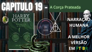 Harry Potter e as Relíquias da Morte ⚡ CAPITULO 19 Audiolivro em PTBR [upl. by Aztinay69]