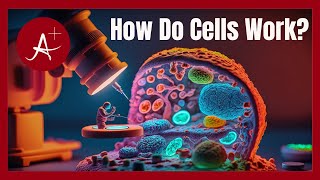 How Do Cells Work Inside the World of Cells  Academic Avengers [upl. by Sidwell]