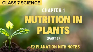 Nutrition in Plants Notes Part 2  Class7 Science Chapter 1 NCERT [upl. by Aerdno942]