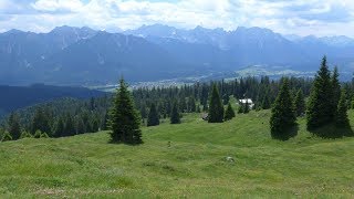 Wallgauer  und Krüner Alm [upl. by Orv832]