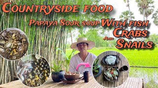 Countryside Food Papaya sour soup with Fish Crab and Snails [upl. by Naicul163]