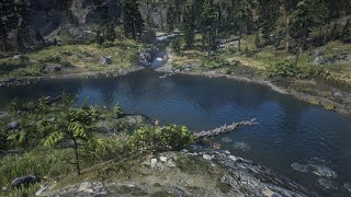 CARTE AU TRÉSOR CATTAIL POND RED DEAD ONLINE [upl. by Aros326]