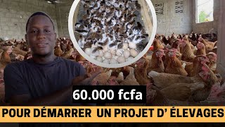 Comment débuter l’ élevages avec 60000 fcfa [upl. by Mulligan]