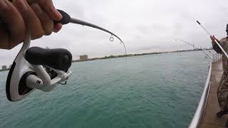 Fishing In Port Huron With The Boys [upl. by Analad]