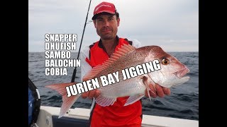 JURIEN BAY JIGGING  Dhufish Snapper Baldchin Cobia [upl. by Aicinet]