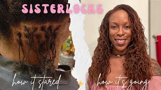 Sisterlocks Journey 10 Year Update Installation Hair Phases Retightening Routine Colour [upl. by Ahseet]