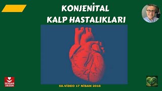 Konjenital Kalp Hastalıkları I temel kavramlar [upl. by Eleen]