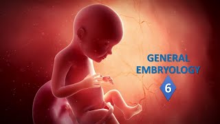 General embryology Part06 Prof Ashfaqur Rahman [upl. by Roberson]