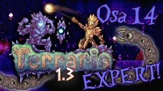 Terraria 13  Expert Osa 14  Eater of Worldssin tuho MEDUSAS HEAD [upl. by Bessy]