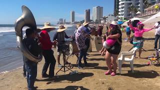 Banda en las playas de Mazatlan tocando el Pavido Navido [upl. by Knowland]