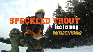 Speckled Trout Ice Fishing New Brunswick [upl. by Etteoj]