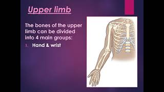 1 Radiographic anatomy and technique of upper limb imaging [upl. by Andromache684]