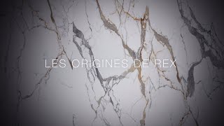 Les Origines de Rex [upl. by Eadie909]