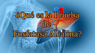 ¿Qué es la Prueba de Fosfatasa Alcalina [upl. by Adda]