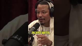 Joe Rogan and Terrence Howard podcast viral ￼ [upl. by Kirima402]