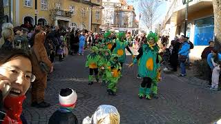 Fasnacht 2019 Kinderumzug Donaueschingen [upl. by Hardunn]