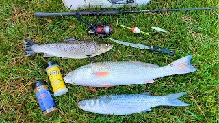 Brown TROUT Redfish and Mullet Catch Smoke and Eat [upl. by Smoot361]