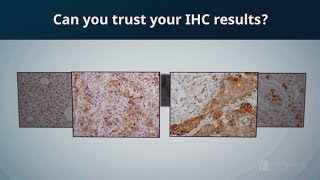 Can you trust your immunohistochemistry IHC results  CST Validation [upl. by Brennen]