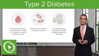 Treatment and Management of Type 2 Diabetes [upl. by Ariane163]