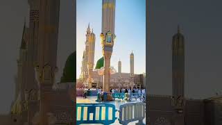 Hara gumbad jo dekhoge zamana bhol jaoge youtubeshorts [upl. by Girvin]